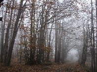 Monte_Fontane - 201011107 085.jpg